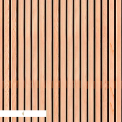 IND0101