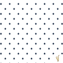 DOT-0013