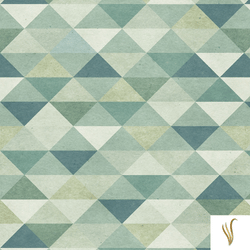 GEO0013