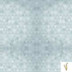 GEO0021
